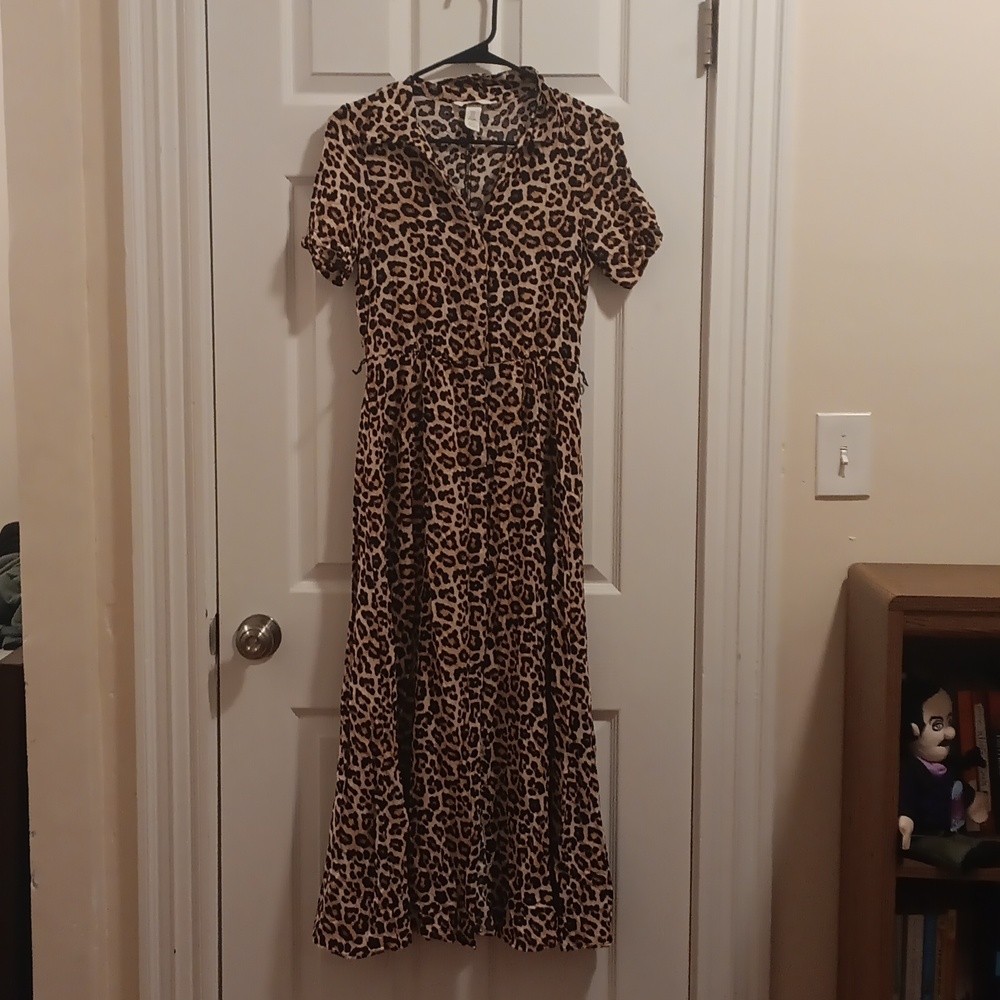 H&M Leopard Maxi Dress